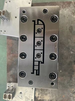 El tratamiento de la superficie de la polidación por electroplataje WPC extrusión de molde para OEM WPC marco de puerta