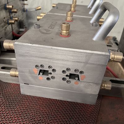 1 Molde de cavidad para cubiertas de puertas de plástico de madera de WPC y perfiles de ventanas de UPVC