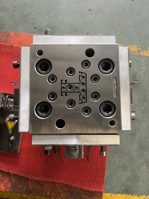 1 Molde de cavidad para cubiertas de puertas de plástico de madera de WPC y perfiles de ventanas de UPVC