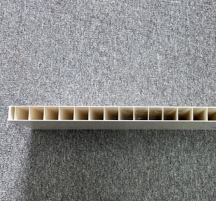 Molde de extrusión de paneles huecos de PVC/ Máquina de fabricación de ventanas Upvc Plástico con 1 cavidad